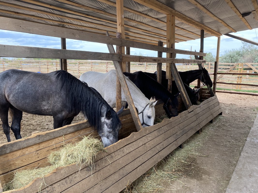 Accommodation - Photo 22