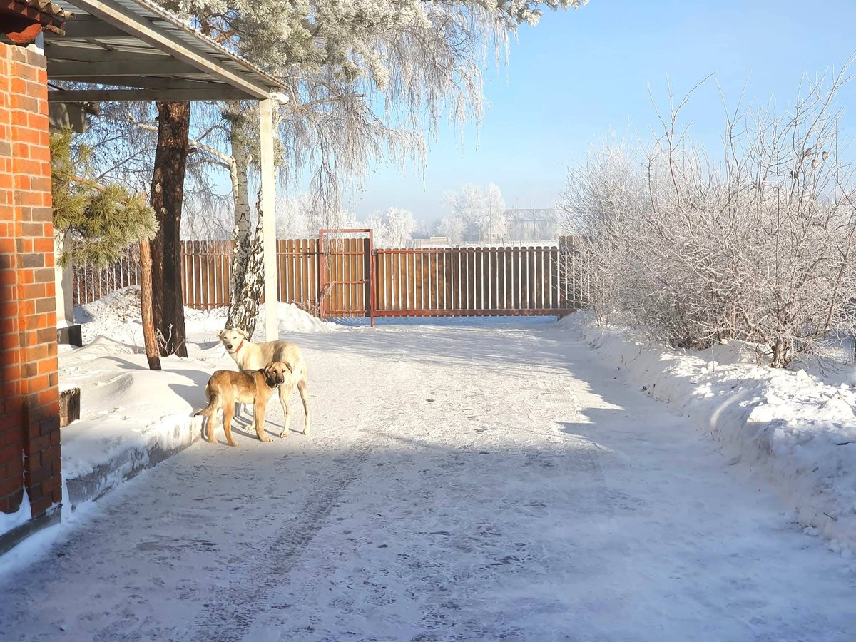 Accommodation - Photo 6