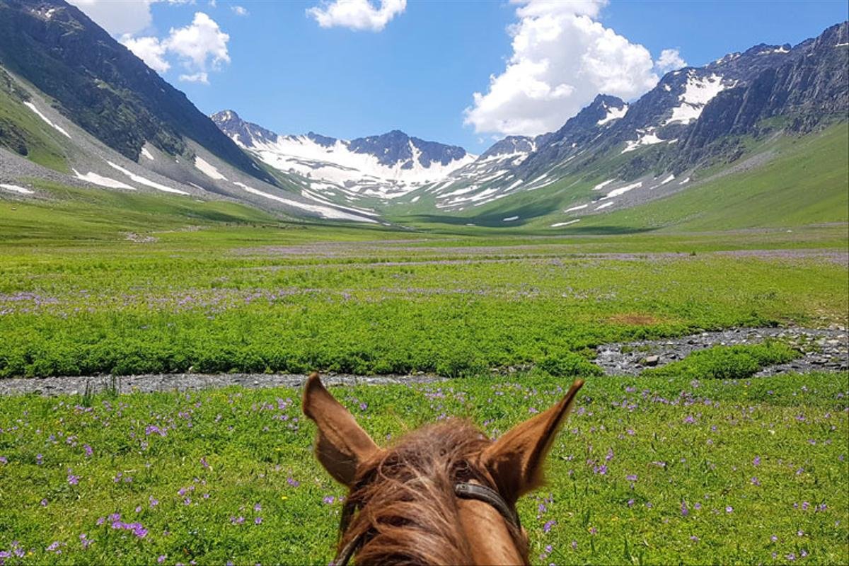 Cultural Exchange Day - Photo 3