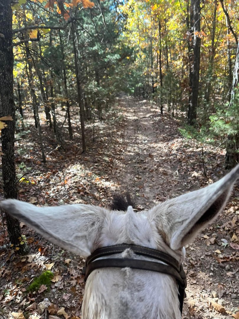 Day 4: Lakes Circuit and Scenic Picnic - Photo 2