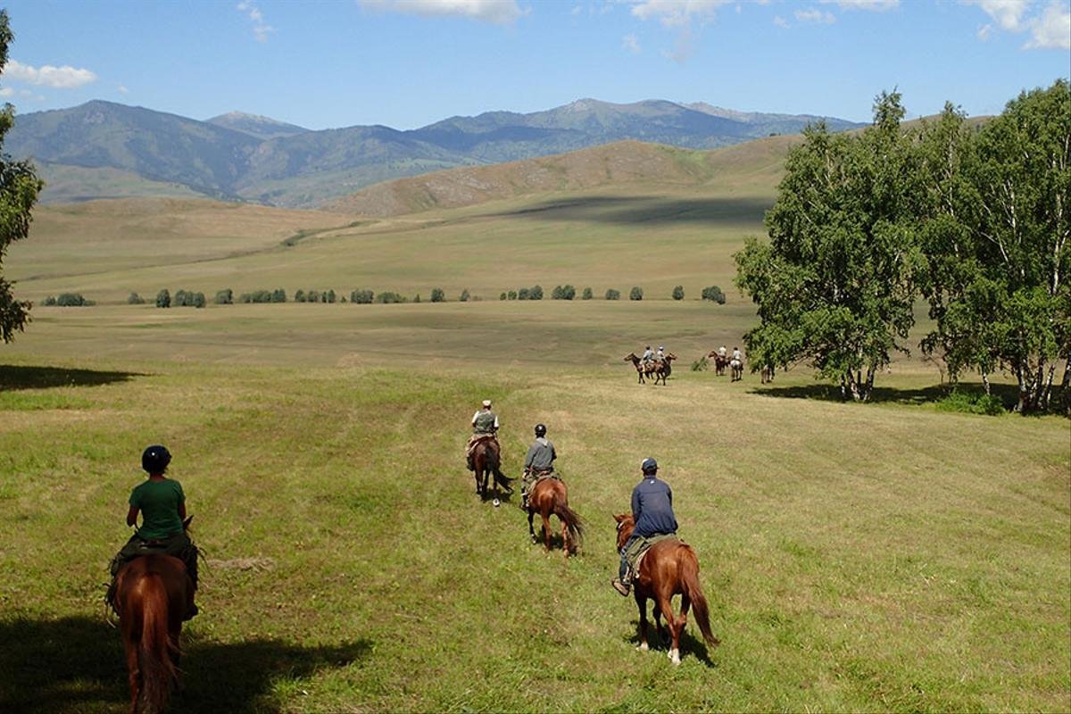 Return Journey - Photo 1