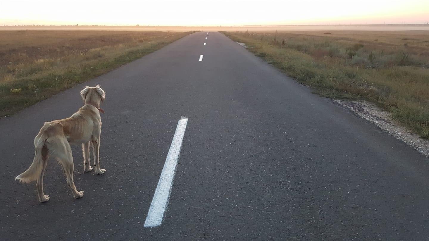 Car Ride to Oskemen - Photo 1