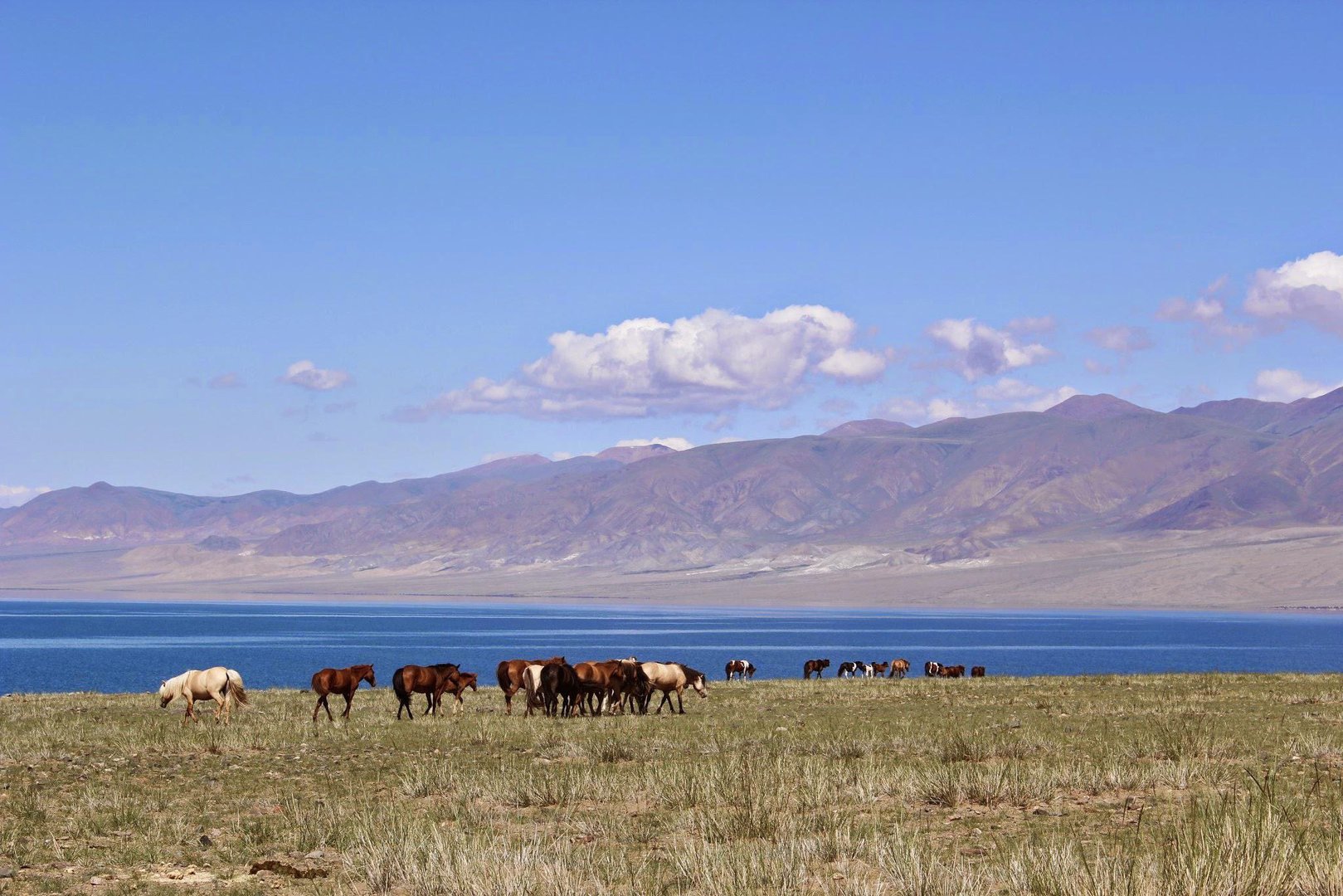 Katon-Karagai National Park Trek and Mountain Views - Photo 1
