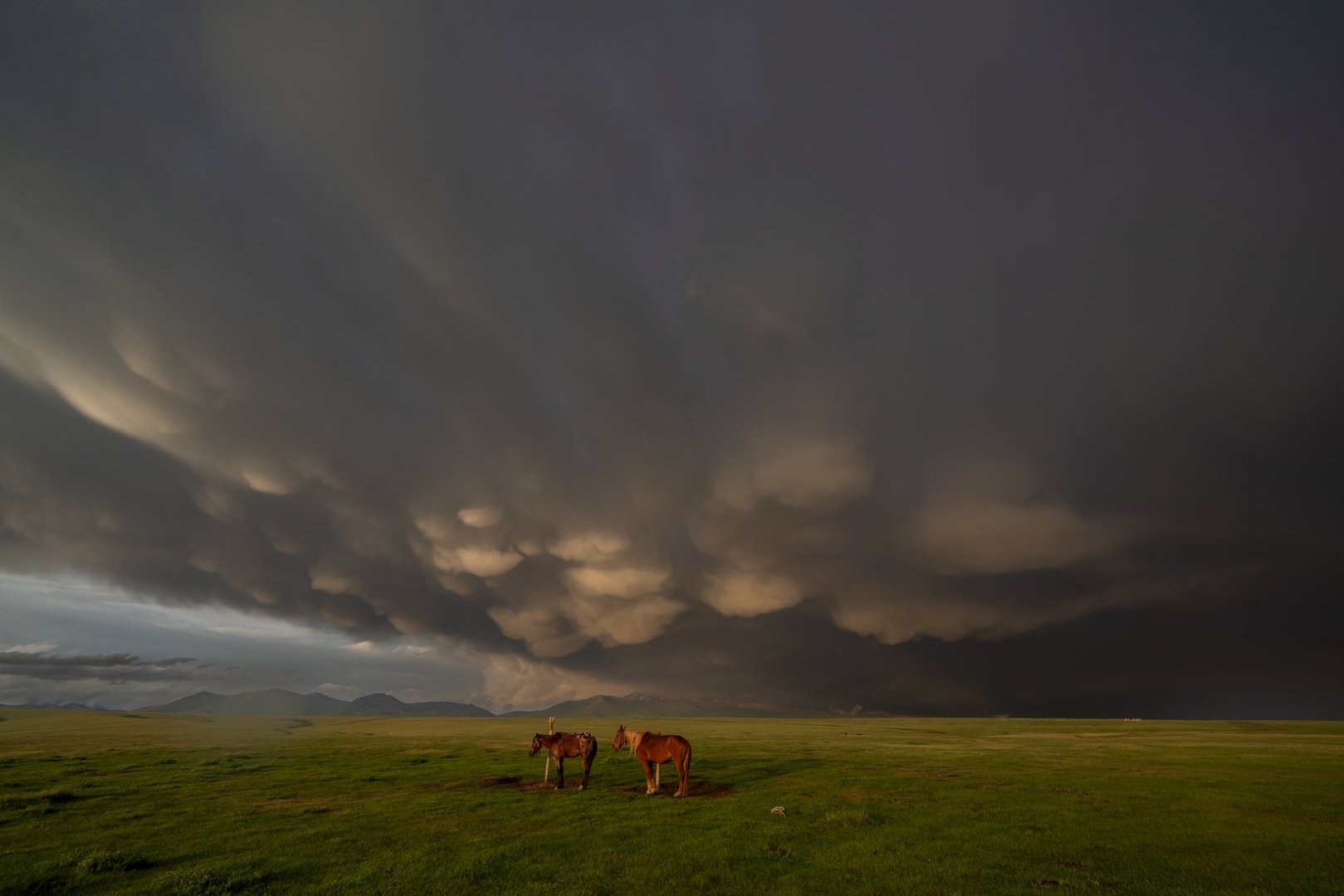 High Altitude Pass and Berel Burial Mounds - Photo 2