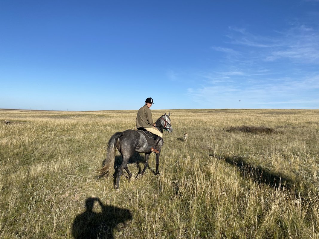 Day 3: Immersion in Ranch Life, Shepherding Horses, and Kazakh Cooking - Photo 7