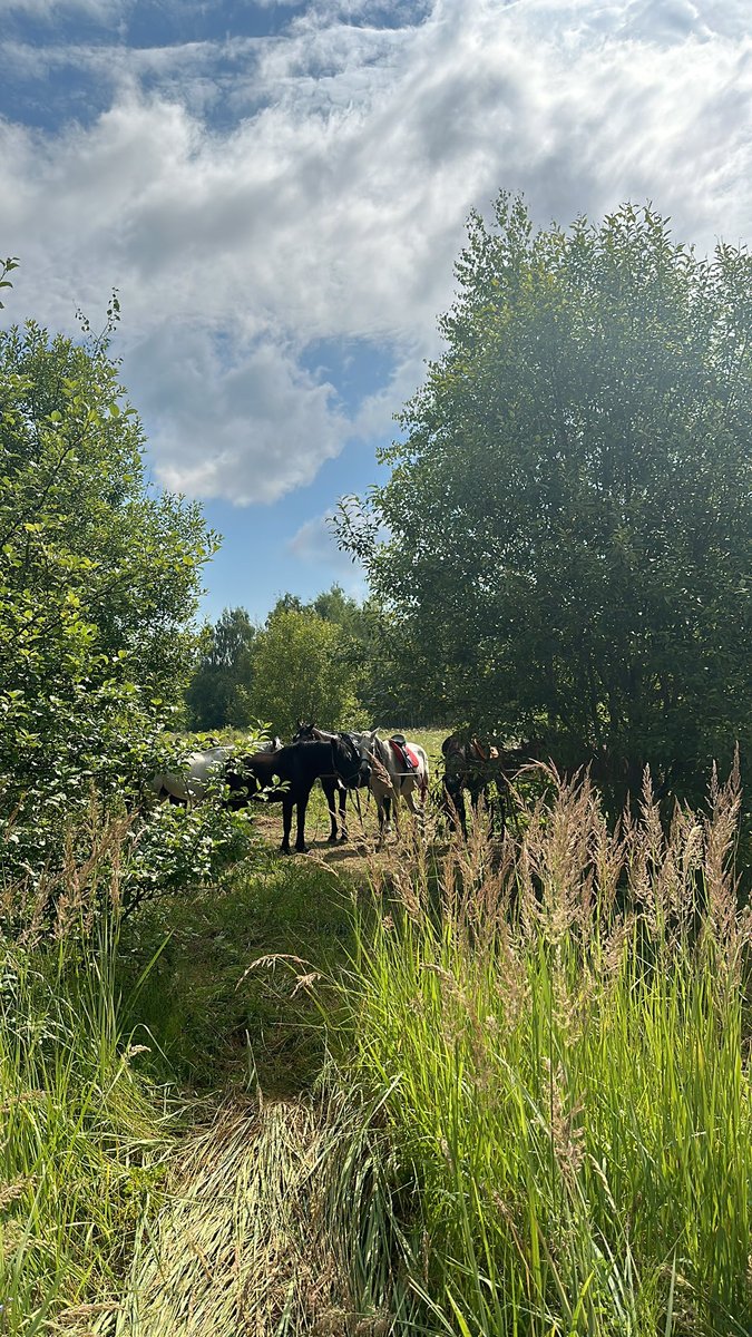 Day 6: Abylai Khan Glade and Final Lake Rides - Photo 1