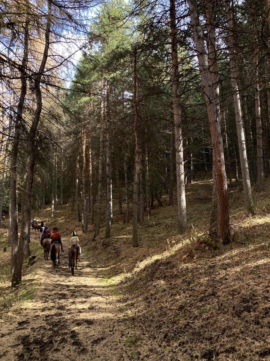 Day 4: Lakes Circuit and Scenic Picnic - Photo 1