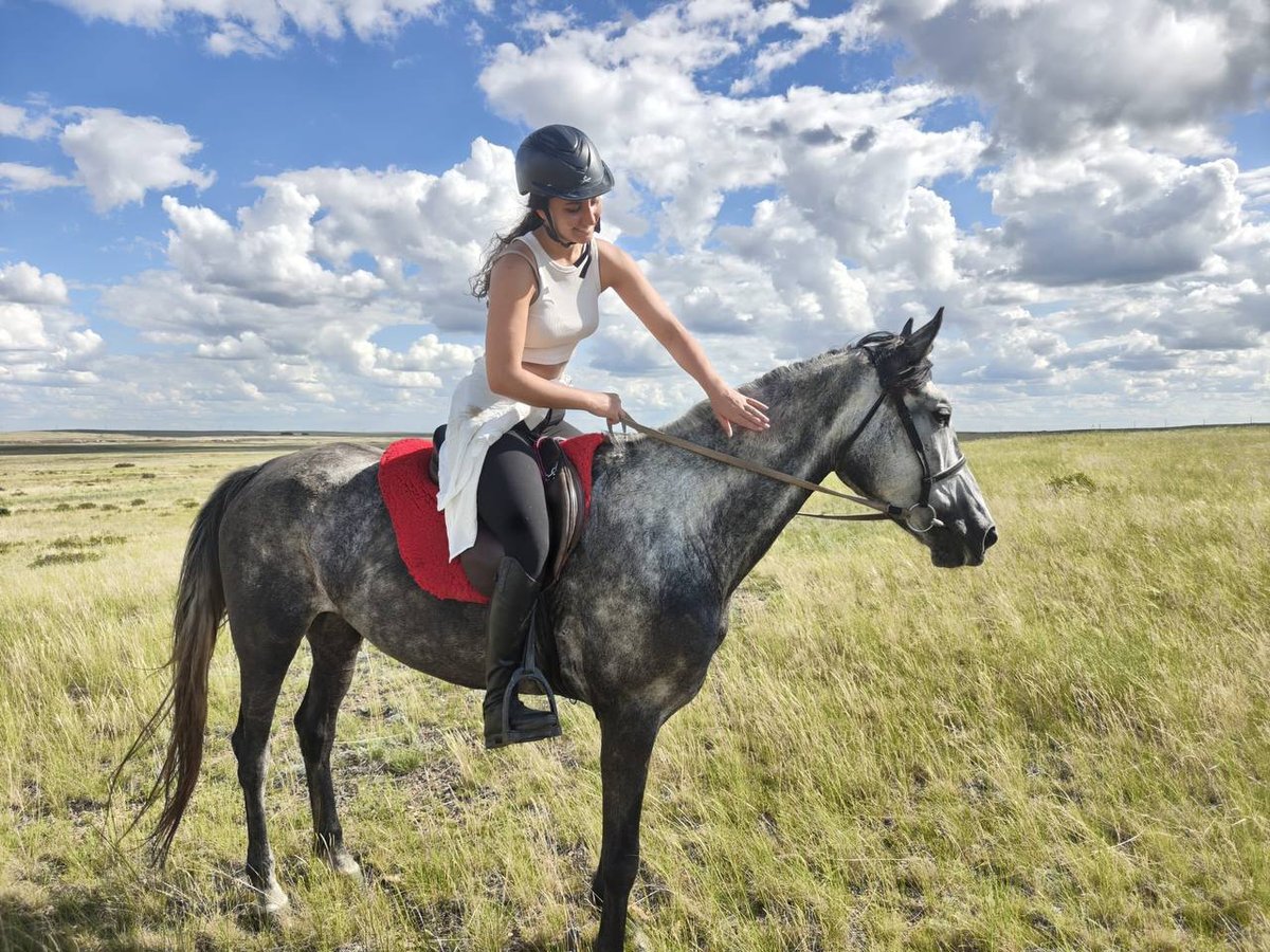 Day 3: Immersion in Ranch Life, Shepherding Horses, and Kazakh Cooking - Photo 1