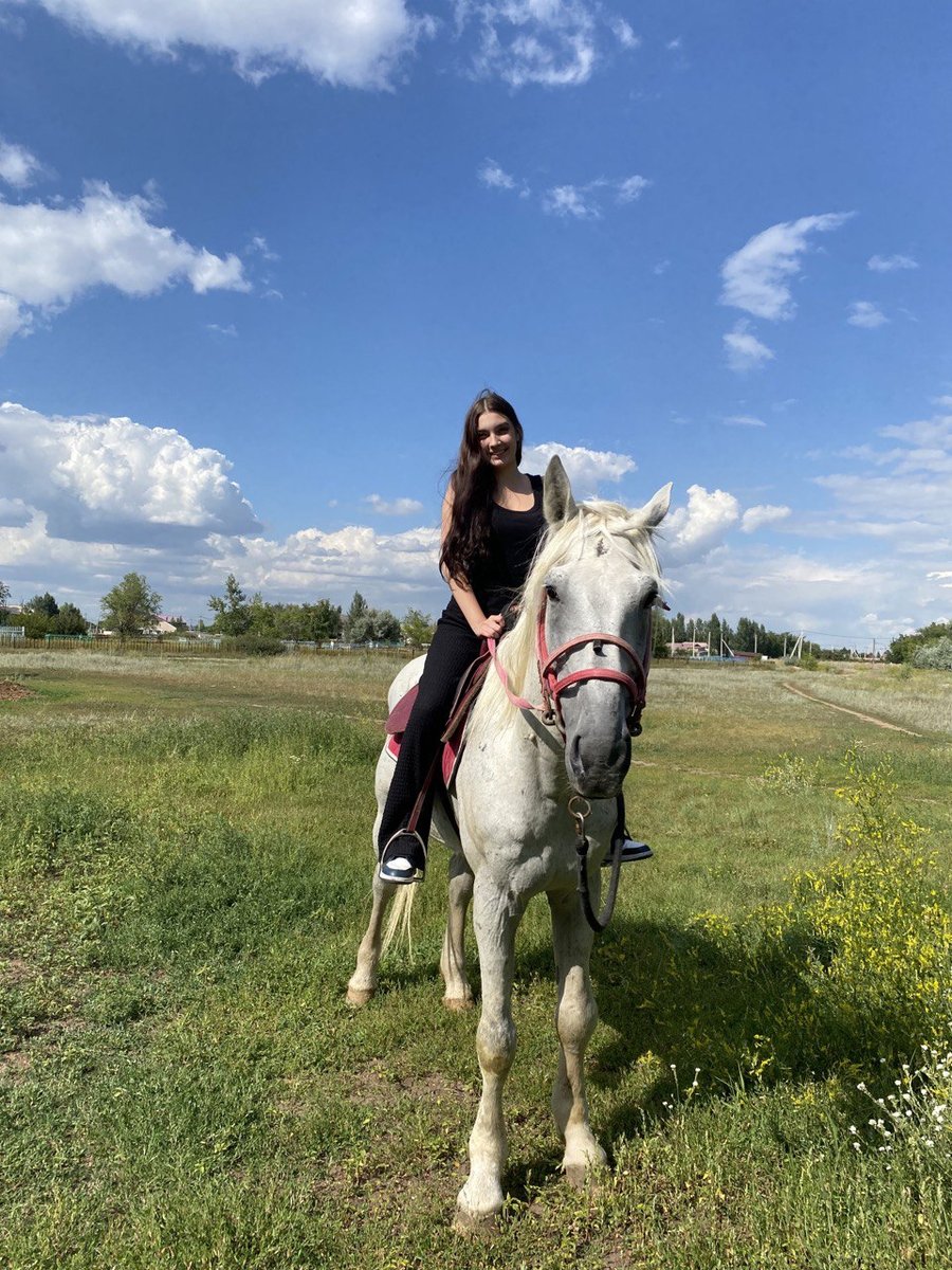 Day 10: Shepherding Horses, Mastering Skills at the Hippodrome and Cultural Immersion - Photo 2