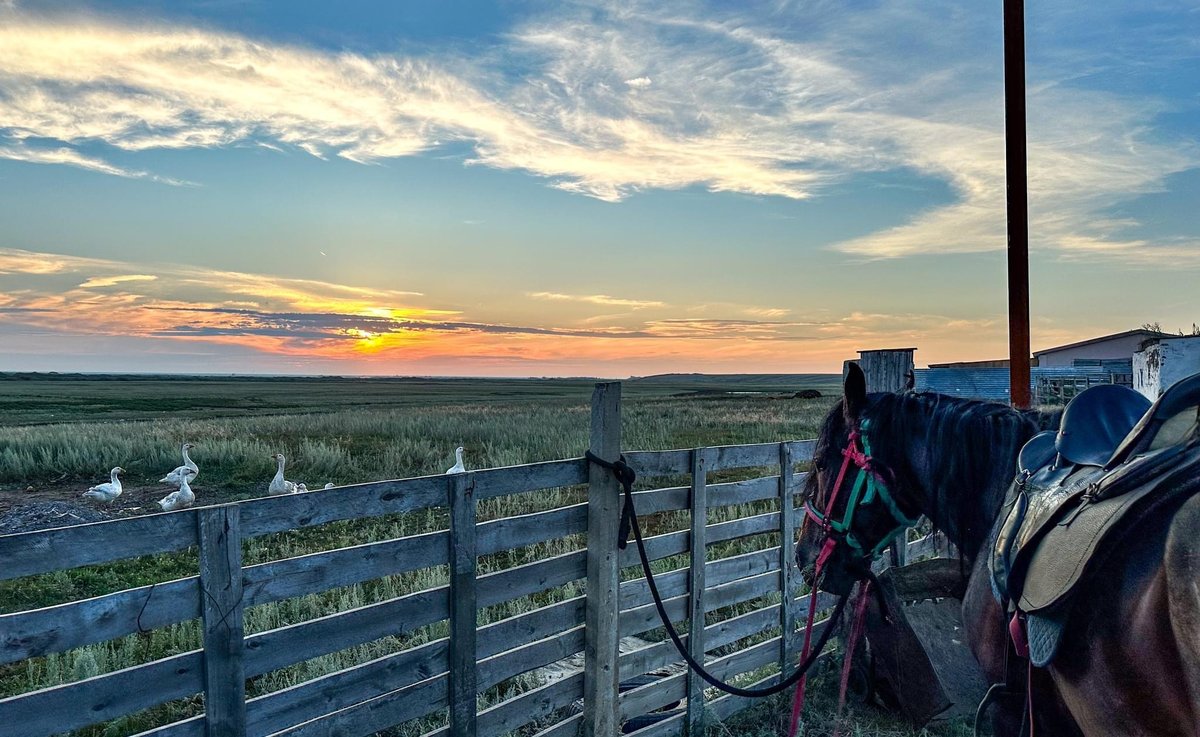 Ranch Stay Adventure - Horse Tour in Kazakhstan